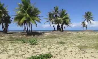 Imagem: Aluguel terreno beira mar 5.000mil metros