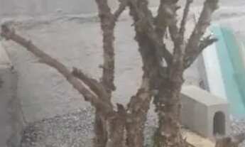 Imagem 2: Vendo casa 3 dormitórios