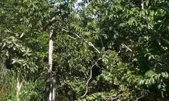 Imagem 3: Chácara 20 mil m2 98.000,00 Rio