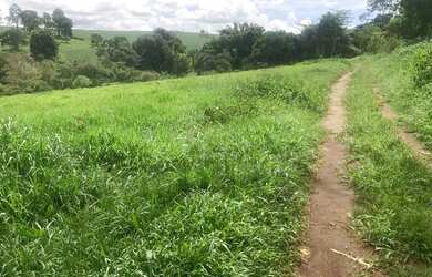 Imagem 7: SITIO 5 ALQUEIRES 100% CULTURA CORUMBA