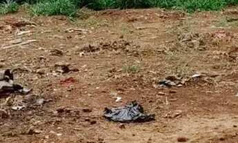 Imagem 2: Lote a venda 429m - Parque das Nações