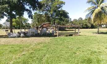 Imagem 5: Sitio com 10 hectares de porteira fechada na região da praia grande na cidade de