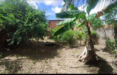 Imagem 3: Vende se está casa