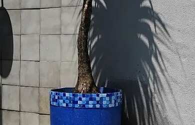 Imagem: Casa venda regissol ótima localização