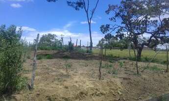 Imagem 2: Posse em amargosa Ba