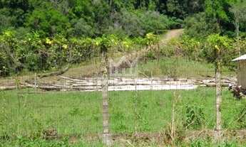 Imagem 3: Terreno em Três Coroas!!!