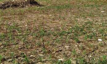 Imagem: Terreno à venda, 675 m² por R$ 1.000.000,00