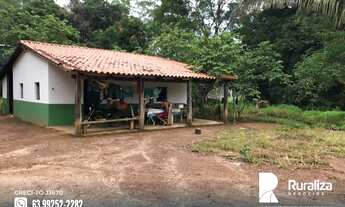 Imagem 4: Ótima oportunidade de fazenda para agricultura na região de Aparecida do Rio Negro - TO