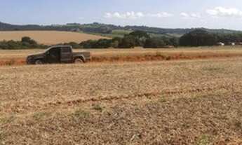 Imagem 6: VENDO FAZENDA 190 ALQUEIRES REGIAO DE IBIA-MG (6101