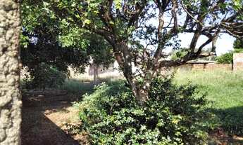 Imagem 2: Lote/Terreno para venda com 720 metros quadrados em Vila Popular - Campo Grande - MS