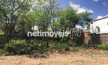 Imagem: LOTE 450M² NO AUGUSTA MOTA