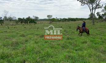 Imagem 6: Fazenda em Crixás-GO. > 54 Alq. (261 Há). Pecuária
