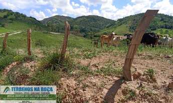 Imagem 5: Terreno em Bonfim de 9 hectares ótimo para criação de gado e casa de campo