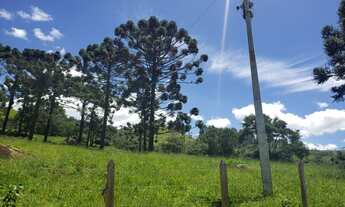 Imagem 2: Fazenda/Sítio/Chácara para venda em Sapucaí Mirim