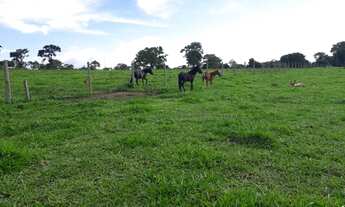 Imagem 6: Sitio de 14 hectares + loteamento com uma carteira mensal de 70mil reais