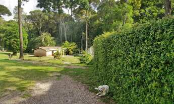 Imagem 6: Chácara para Venda em São José dos Pinhais, Campina do Taquaral