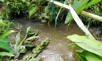 Imagem 3: Chácara Monte Alegre 3,5 ALQUEIRE