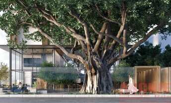 Imagem: Gameleira Praia, pé na areia