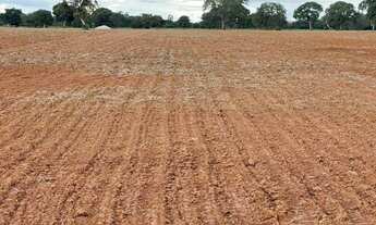 Imagem 2: Fazenda de 156 Alqueires em Novo Planalto - GO