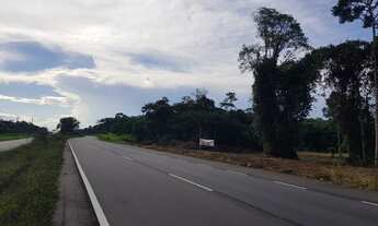 Imagem 3: Rodovia Am 070 - Manoel Urbano