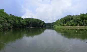 Imagem 3: Sítio no KM 26 da AM 010, bom para viveiro de peixe