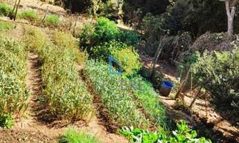 Imagem 4: Fazenda com 1.157 hectares em Datas