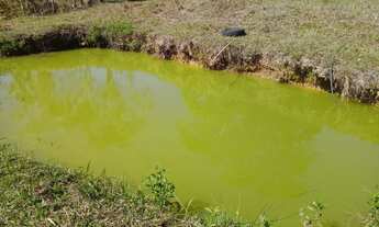 Imagem 6: Fazenda/Sítio/Chácara para venda tem 1800 metros quadrados com 2 quartos
