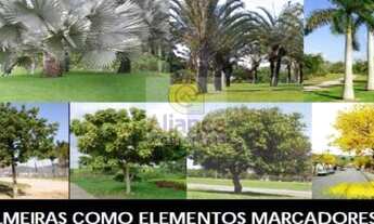 Imagem 2: NATAL - Terreno Padrão - Nova Parnamirim