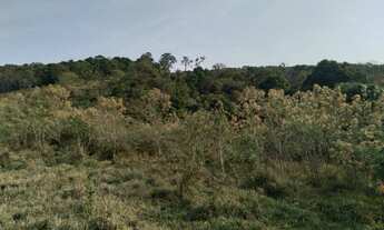 Imagem: Lindo Sitio com 60.000 m², em Carmo de