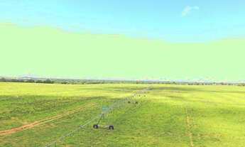 Imagem 4: Fazenda para Soja irrigada a venda em Posse - GO