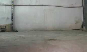 Imagem 6: São Paulo - Galpão/Depósito/Armazém - Belenzinho