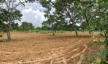 Imagem 7: Sítio 39 hectares