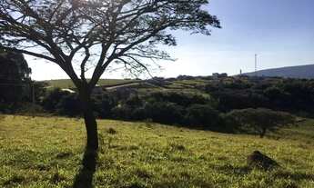 Imagem 3: Terreno 2 Hectares