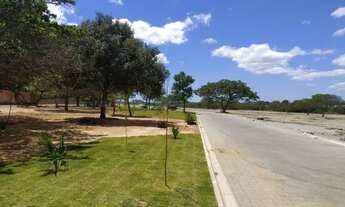 Imagem 2: Lotes De 10X25, Há 2Min Da Praia Em Caucaia, Pavimentação Em Bloco! . : Mateus 21:21