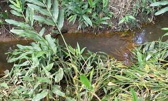 Imagem 3: Chácara de 3 mil metros só de terra a venda em Jacutinga _Minas Gerais