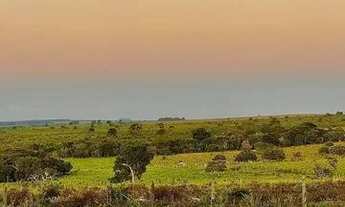 Imagem 3: Fazenda 840 Hecteares Rio na Divisa