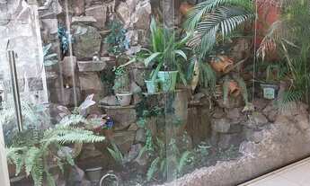 Imagem 3: Bairro de Flores Casa com 5 suítes no Conjunto Beija flor