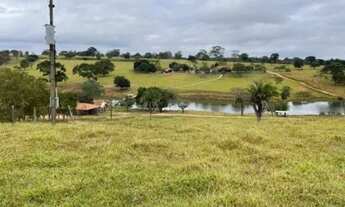 Imagem 3: Vende-se fazenda 40 alqueires em Trindade-Go