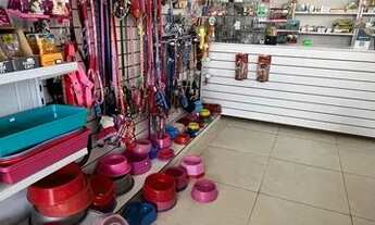 Imagem 2: Vendo agropecuária em Navegantes