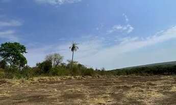 Imagem 3: Chácara em Miracema. 300mil