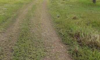 Imagem 6: Vendo uma fazenda no municipio de conceiçao do tocantins