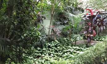 Imagem 3: Alto de Pinheiros