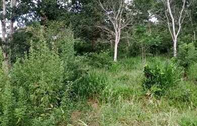 Imagem 5: Terreno 65.000m², as margens do Rio das Velhas, Jaboticatubas