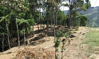 Imagem 3: Lindo terreno Santo Amaro Imperatriz - Escritura pública