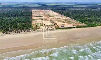 Imagem 2: Oásis Beach Residence - O futuro do litoral sul de Alagoas com lotes em até 132x