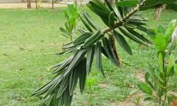 Imagem 4: Casa em condomínio fechado no Cond.Maria Isabel - Araçagy - 2 quartos - 2 banheiros
