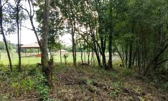 Imagem 3: Terreno/Sítio Rolante-RS 6.591,00 m²