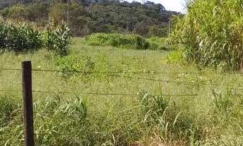 Imagem 4: Vendo gleba 2hectares região da comunidade Palmeira com córrego e terra de cultura