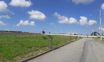 Imagem 5: Terreno - Centro - Tuiuti