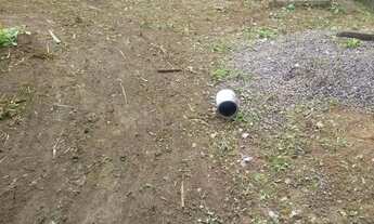 Imagem 7: Galpão em Valéria com 1.600 m² para locação ou venda